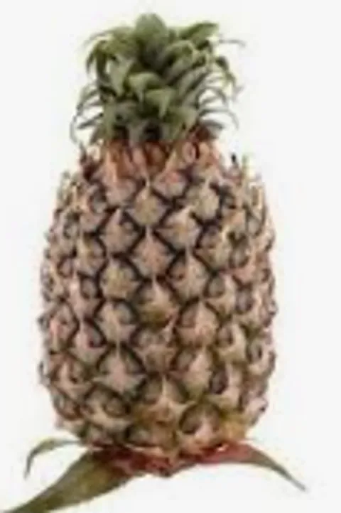 Screenshot 2025-11-04 174613