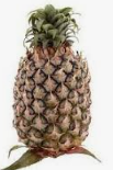 PINEAPPLE JOSA - fruit basket delivery KL PJ