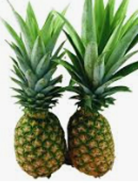 Screenshot 2025-11-04 174648