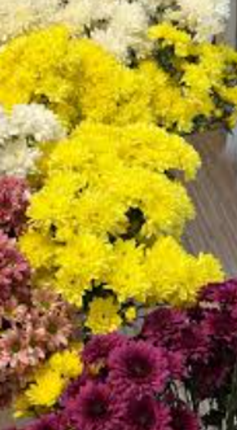 Screenshot 2025-11-04 174747