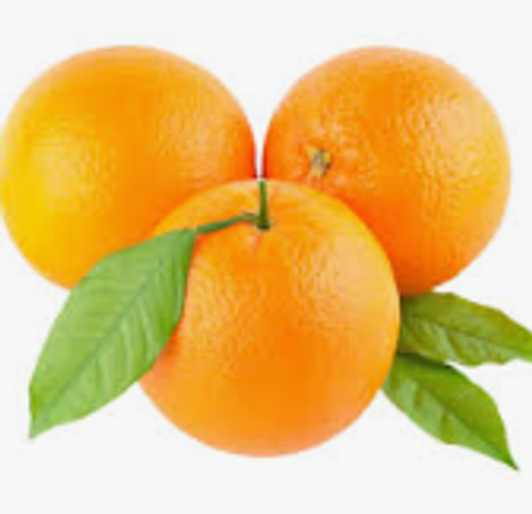 Screenshot 2025-11-04 175747