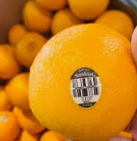 Screenshot 2025-11-04 180127