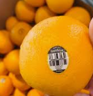 NAVEL SUNKIST US 5S - fruit basket delivery KL PJ