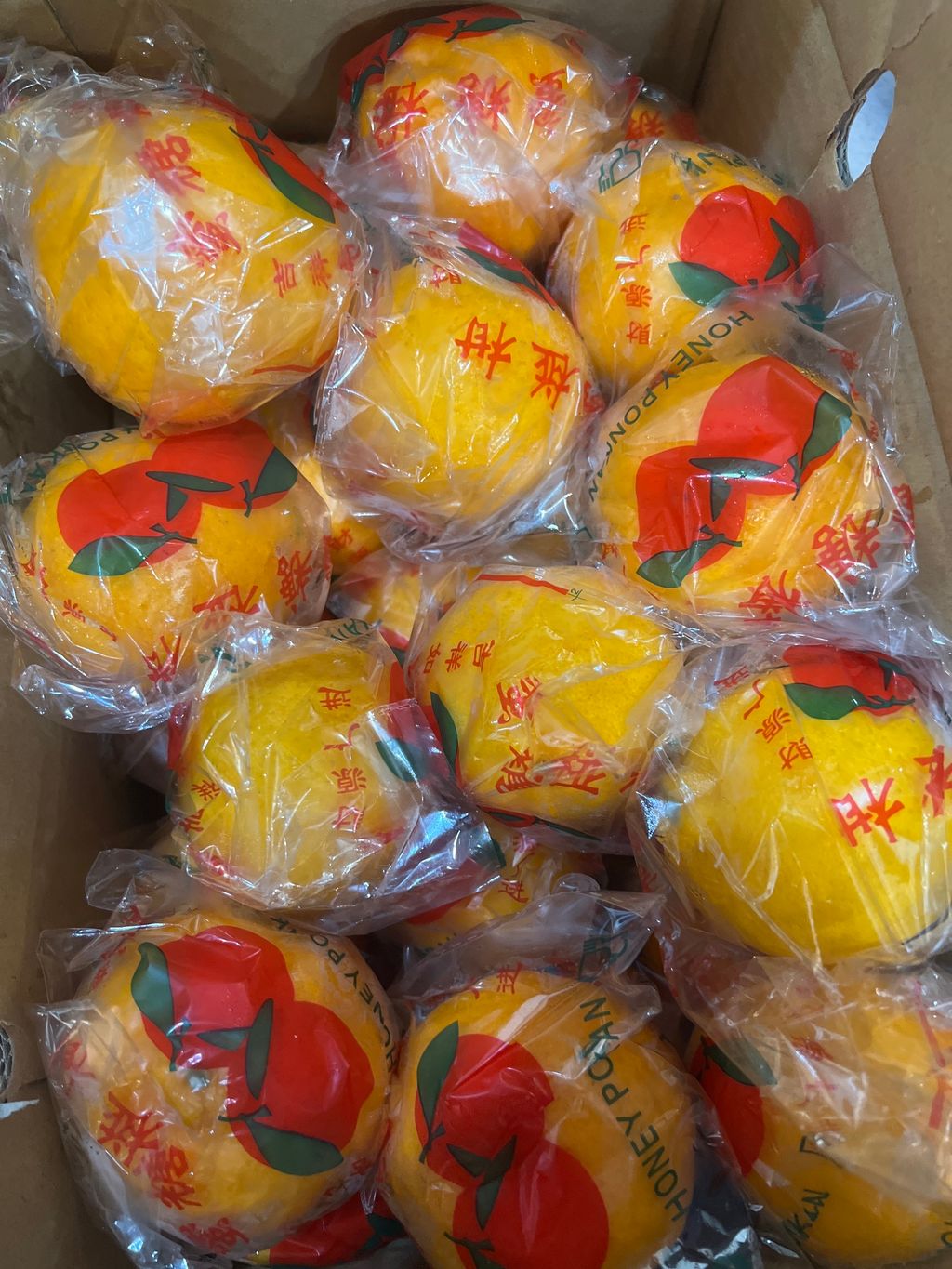 image_picker_368A1836-0AD3-4215-8F89-1907FC81DCE2-17501-00000B94469D0FEA