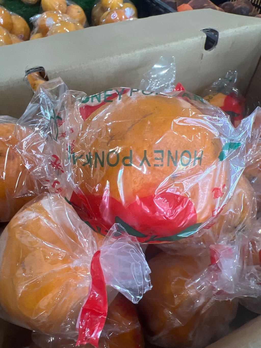 image_picker_3D039D4B-6D41-45DF-AA52-37BCF4479DED-11808-0000065E99AB0CC4