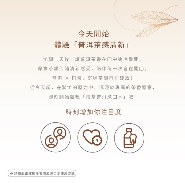 2026 普洱茶3