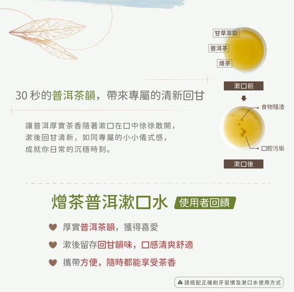 2026 普洱茶6