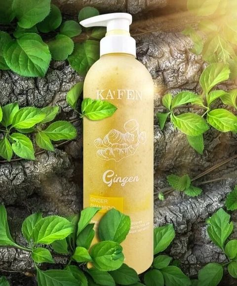 kafen ginger shampoo