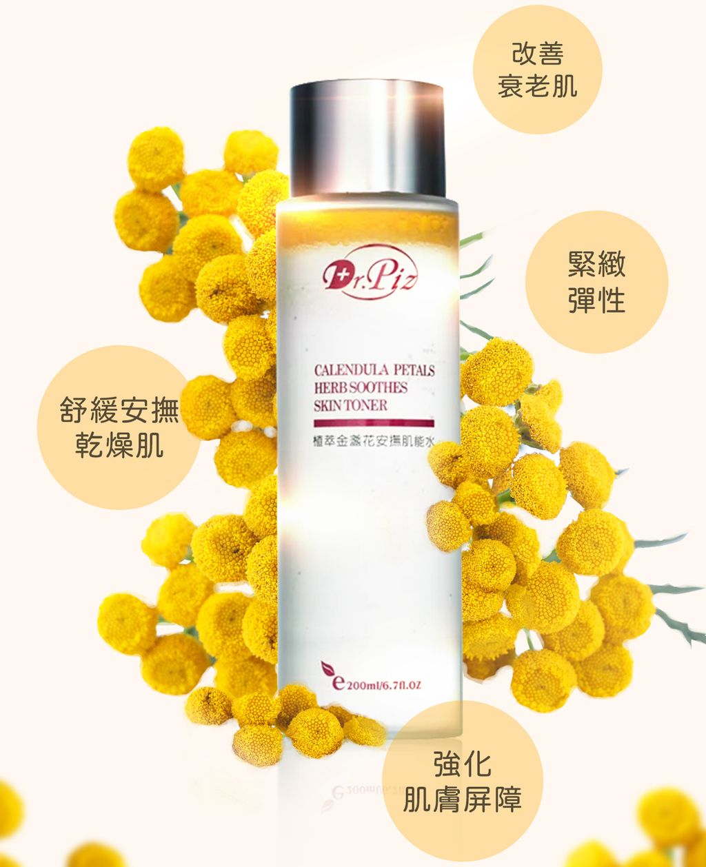 金盏花0055