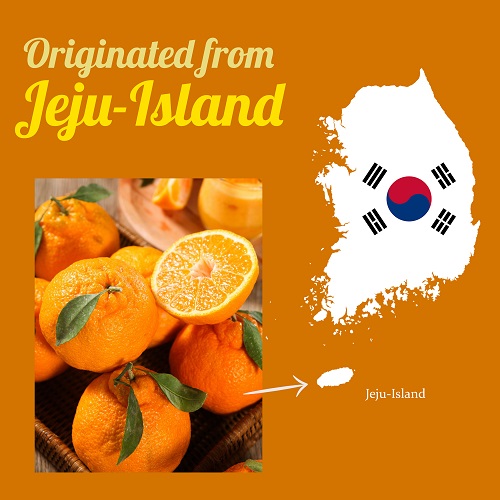 hello bong jeju resize.jpg