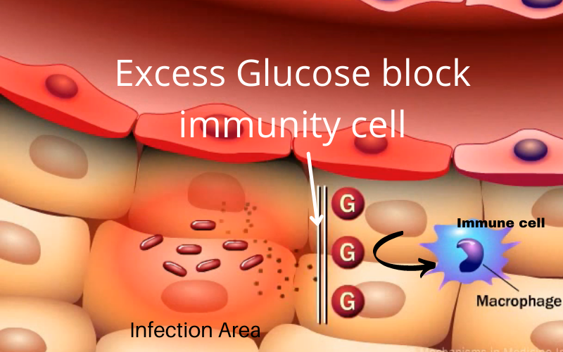 Excess Glucose block immunity cell.png