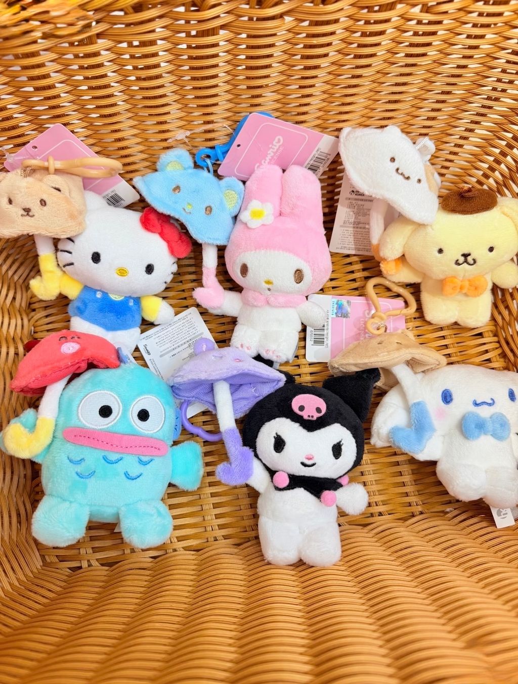 image_3A6E2C35-1EC4-4B8B-A343-41B7AC803C93_1773303250