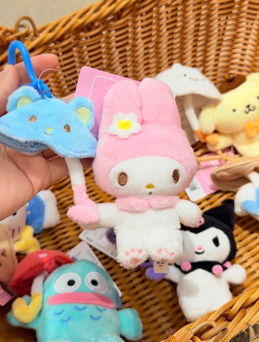 image_0BAA193F-0BC6-497D-8DE1-7F12B4816166_1773303250