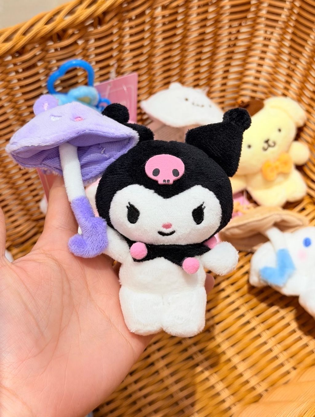 image_A8DF7DE7-A0A4-48E7-9814-74DF2CE757FC_1773303250