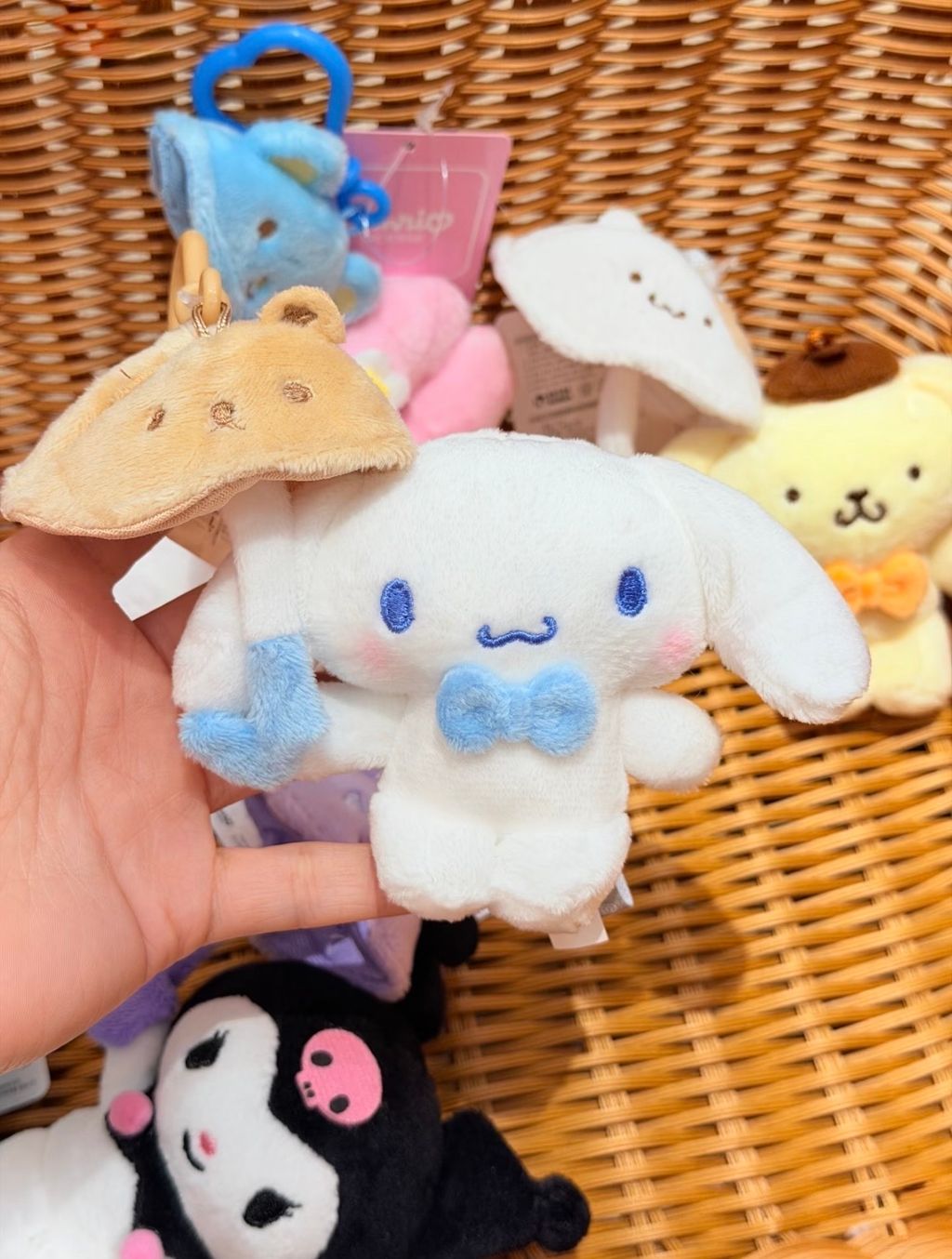 image_5840F260-0897-444D-A57C-4C45D94A7232_1773303250