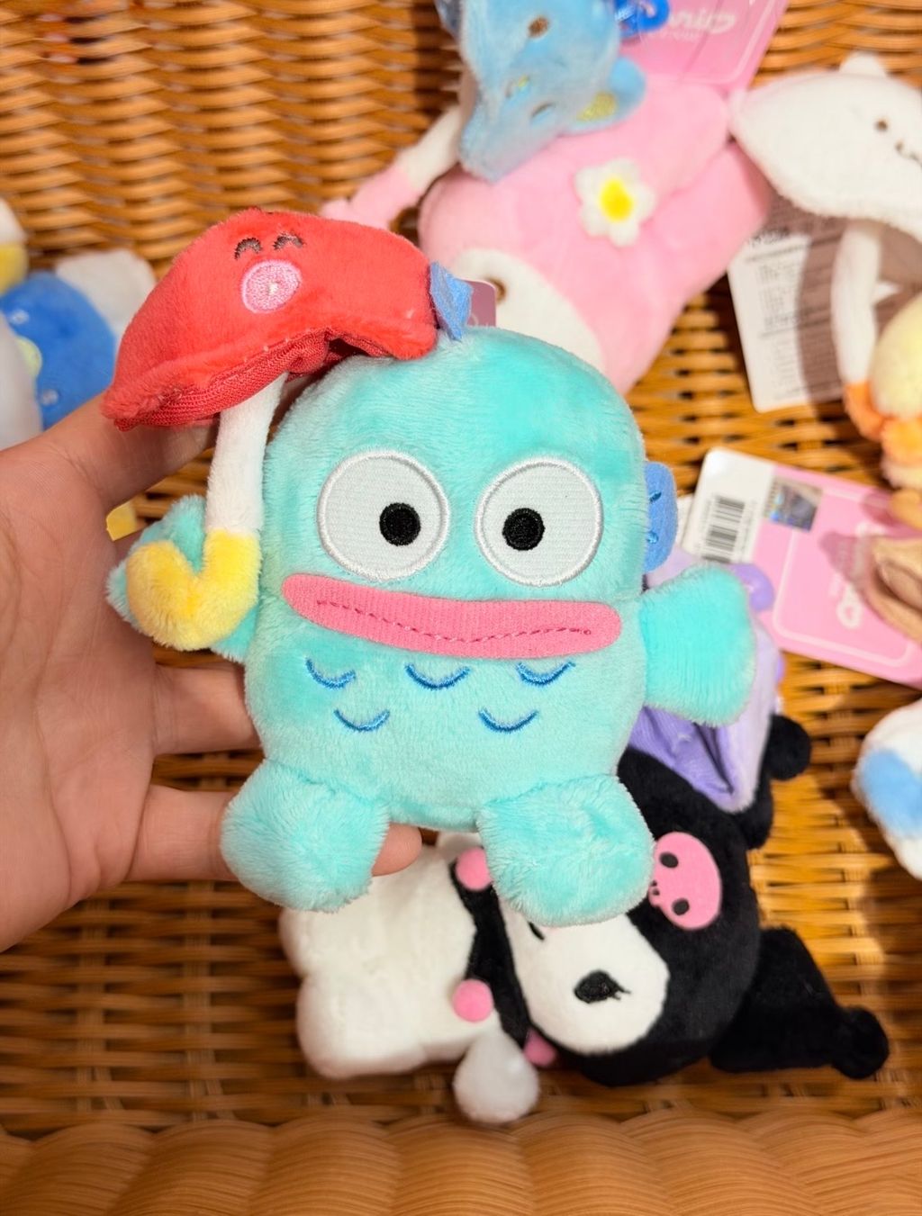 image_3B66354A-2C2B-49C5-9D12-F1B820CDA4BB_1773303250