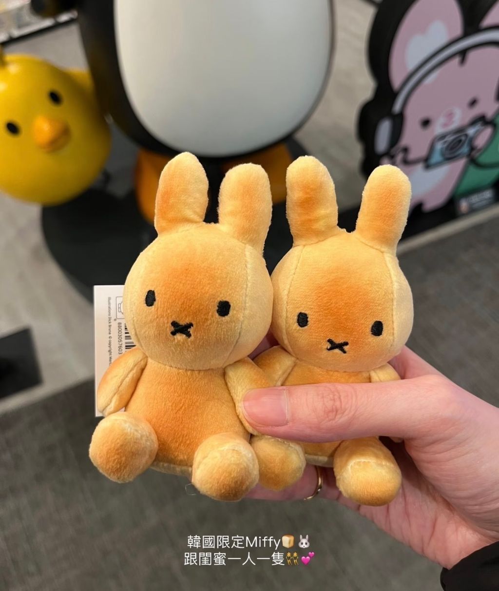 image_967EDD2A-2B87-4617-8760-D6CB30B11BA6_1775311461