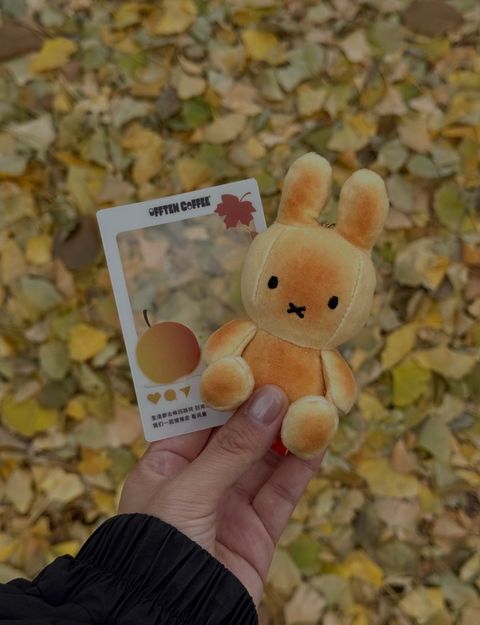 image_61016EA7-02C9-4D55-926C-48DC56F39F4E_1775311461