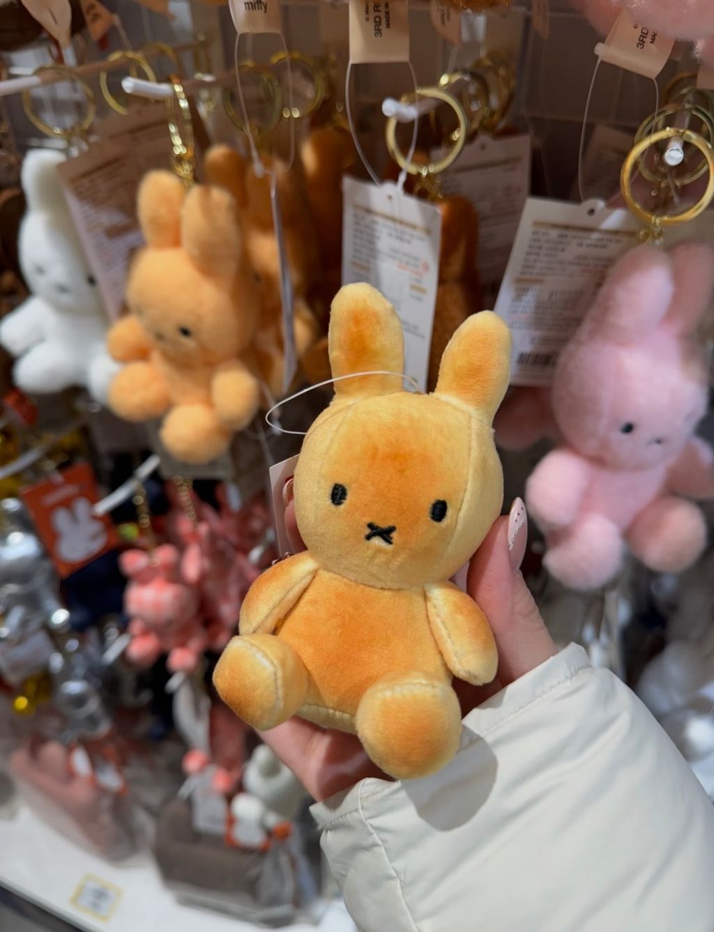 image_DC57A7AC-0534-492D-B113-B41410B87371_1775311461