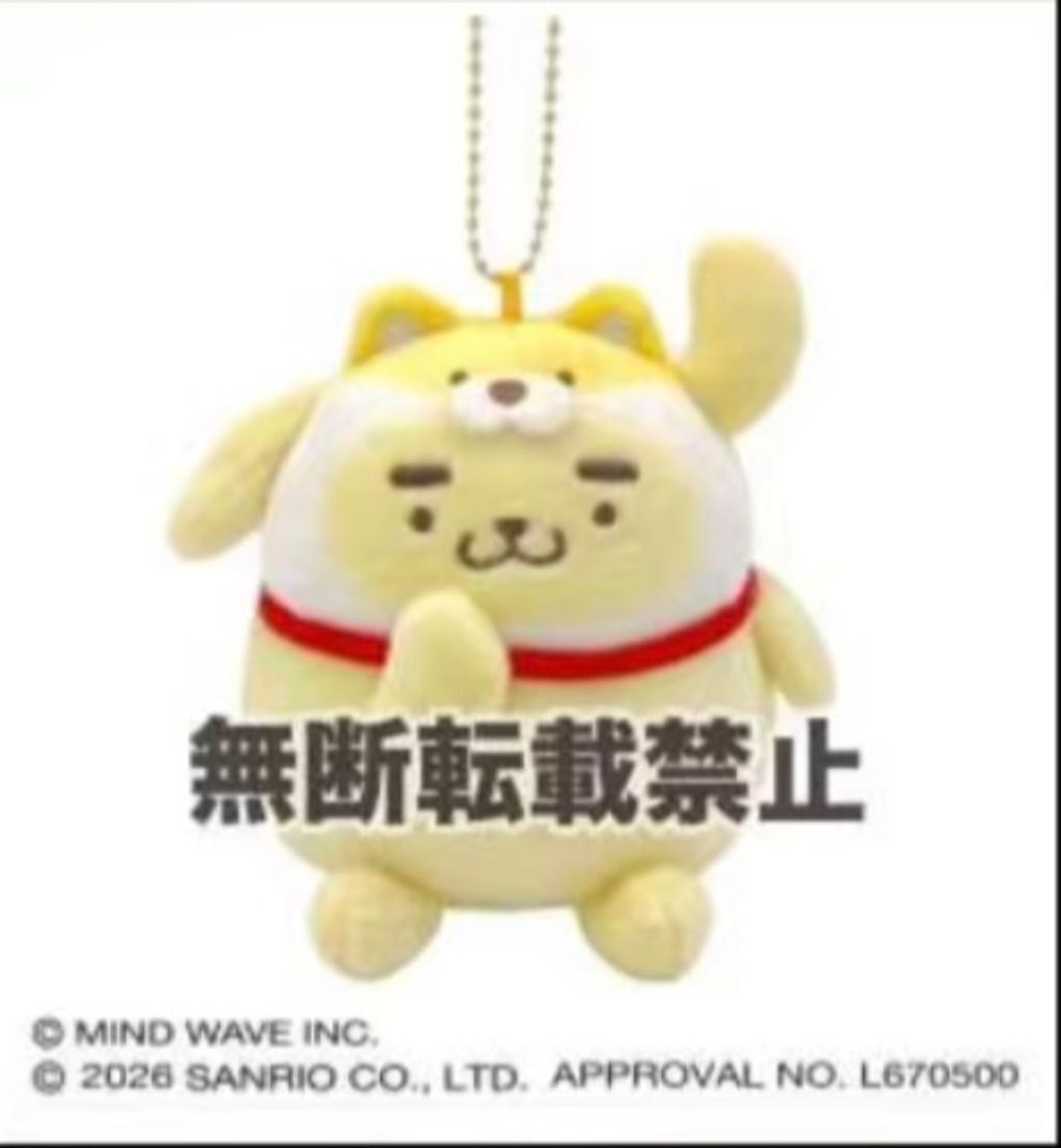 image_C8B70639-1F66-49AA-A646-79A5594BF4DF_1776088932