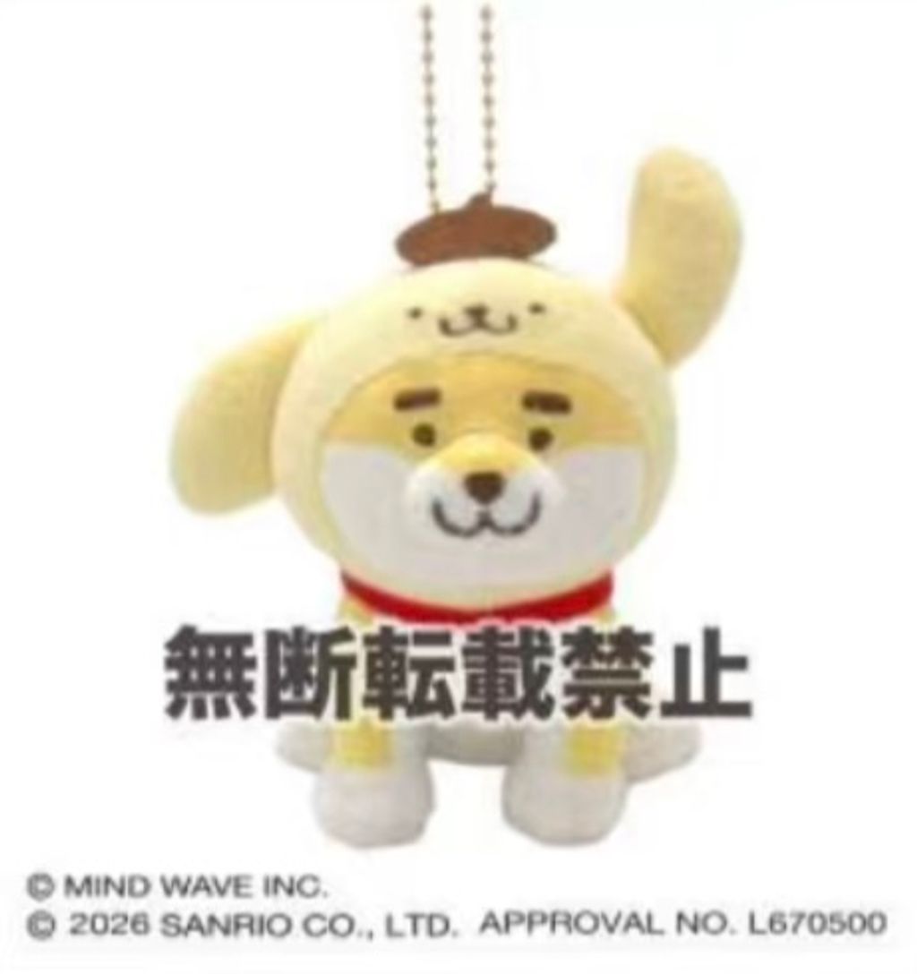 image_93F444F7-7E23-4DE8-8751-00D3A0B92074_1776088932