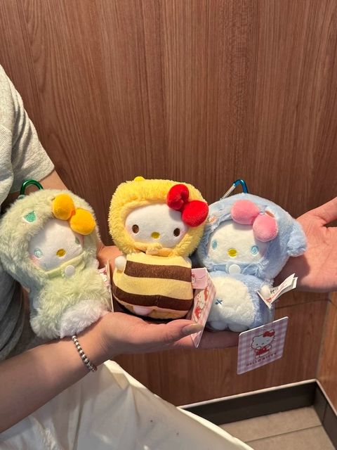 image_C9477C7D-4371-4DF2-B45A-A44D9086E25C_1761658546