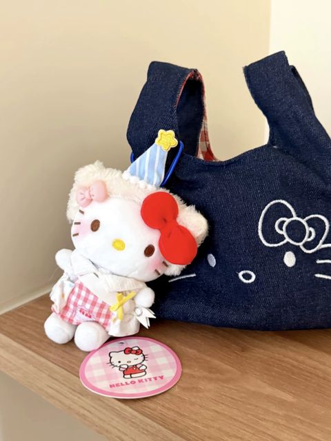 image_BFD61716-1AC0-4C93-A7E9-25E0BCD6C949_1762756780