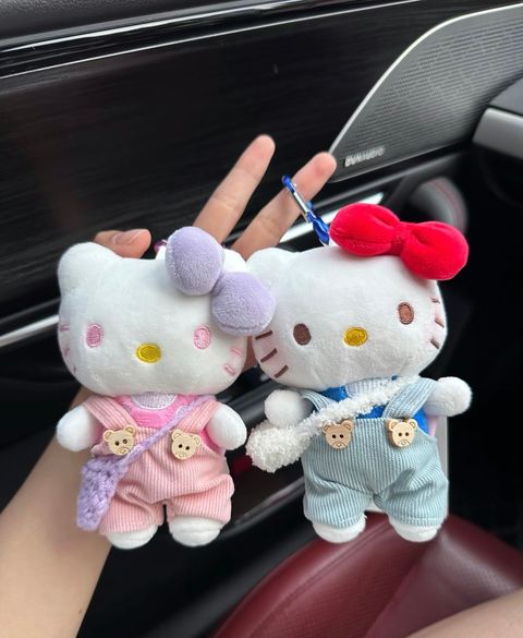 image_C6B301BE-0B6B-4AA6-B9BD-7B1CB468BF4B_1762758846