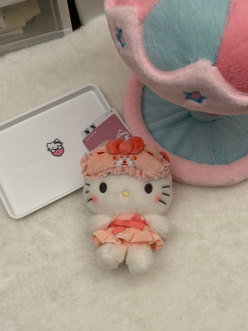 image_A086F645-34FA-40DC-82E7-E7DCA010062D_1764473472