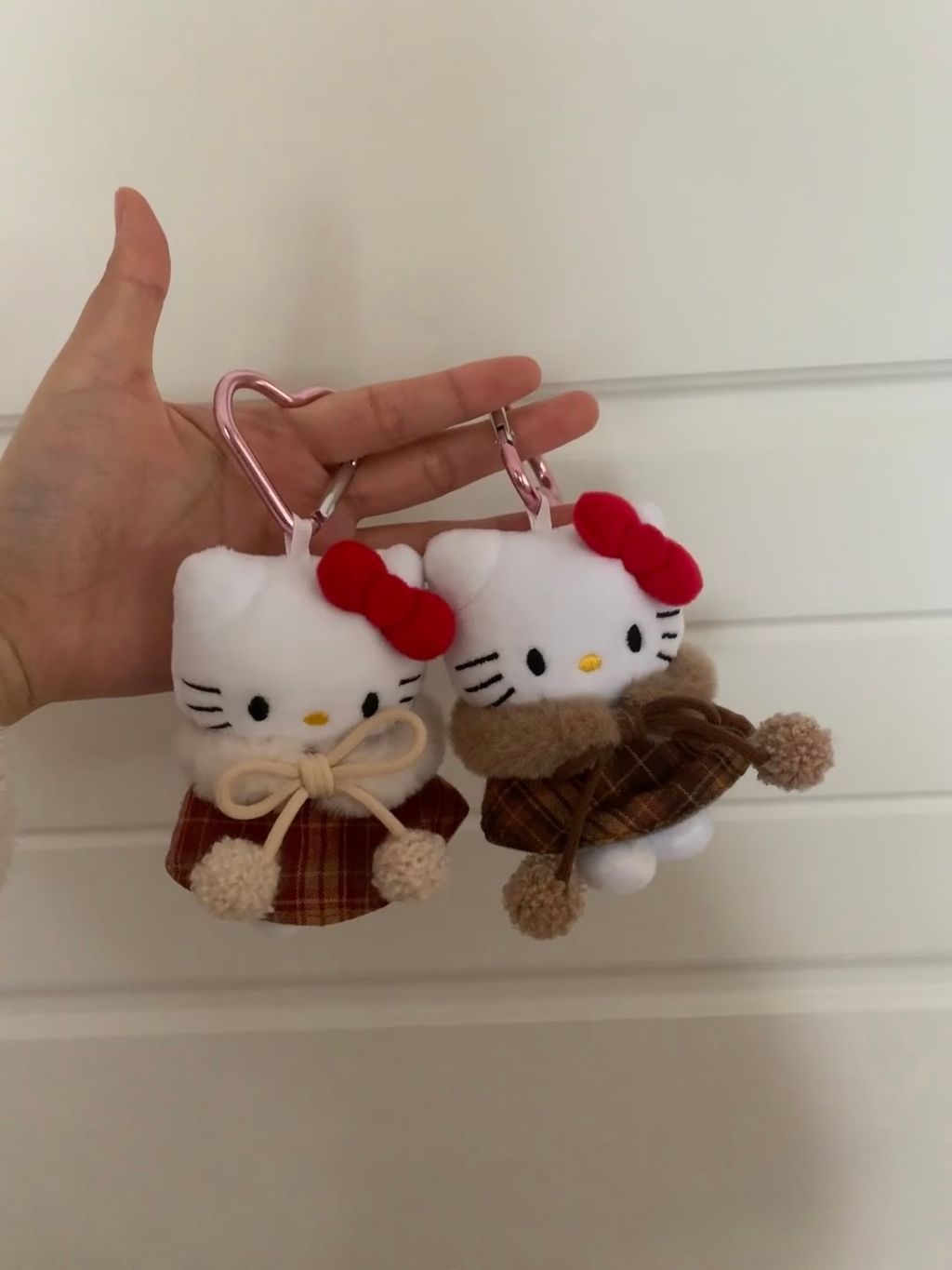 image_4BB93691-813A-4C05-87E0-7A0382D20FF7_1764475580