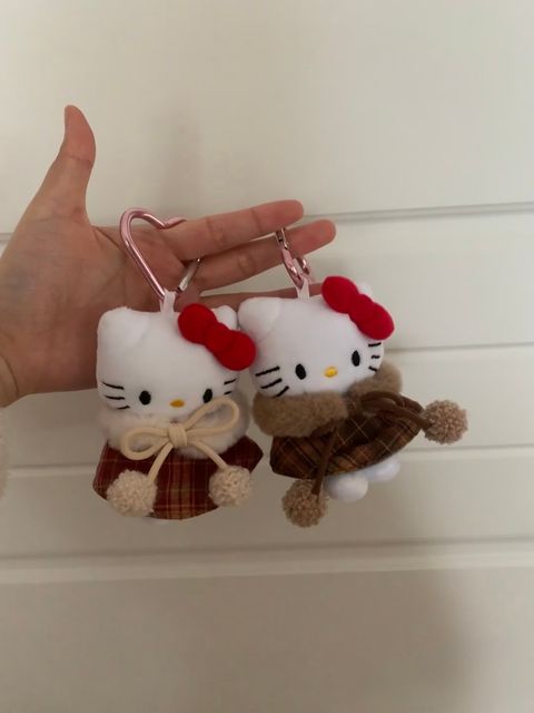 image_4BB93691-813A-4C05-87E0-7A0382D20FF7_1764475580