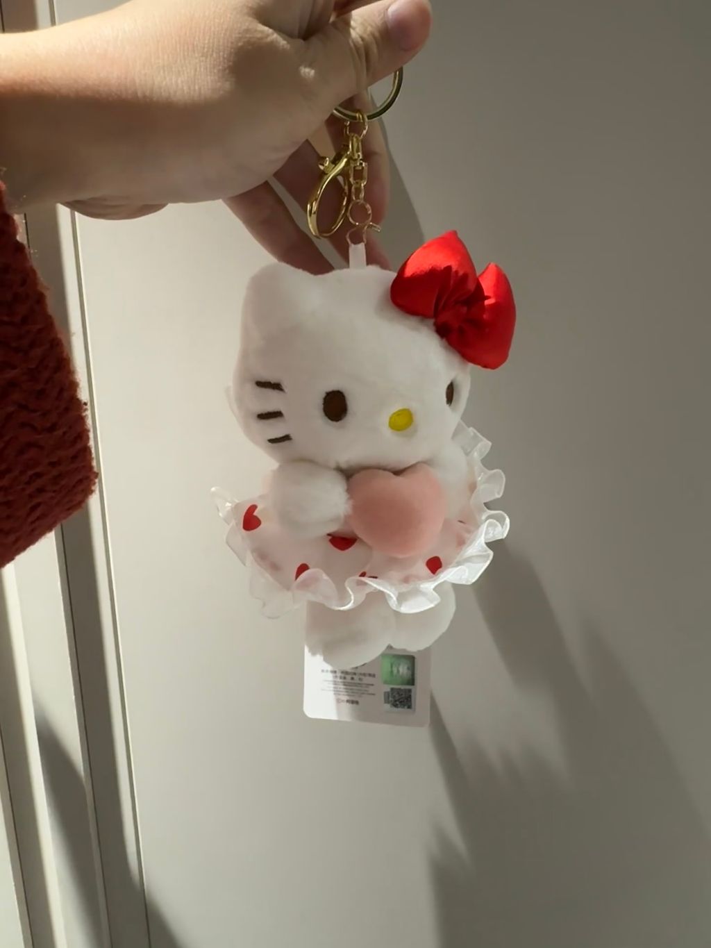 image_5C5A5BA6-E45E-454B-97C3-DEBDB9C9D508_1764512571