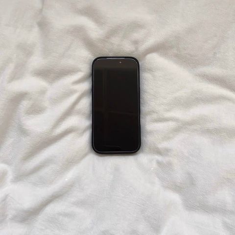 image_7599B029-C50A-410B-BFF3-026F2A7CA5A1_1765951605