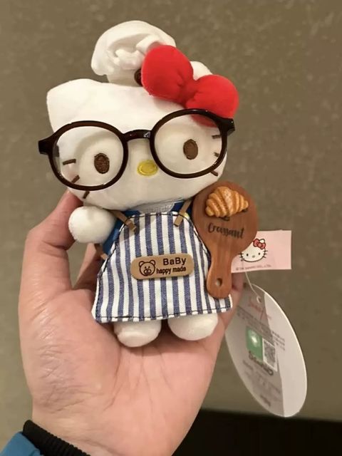 image_FA840C53-5D12-4F9C-BB0E-E952F190E6B4_1765986211