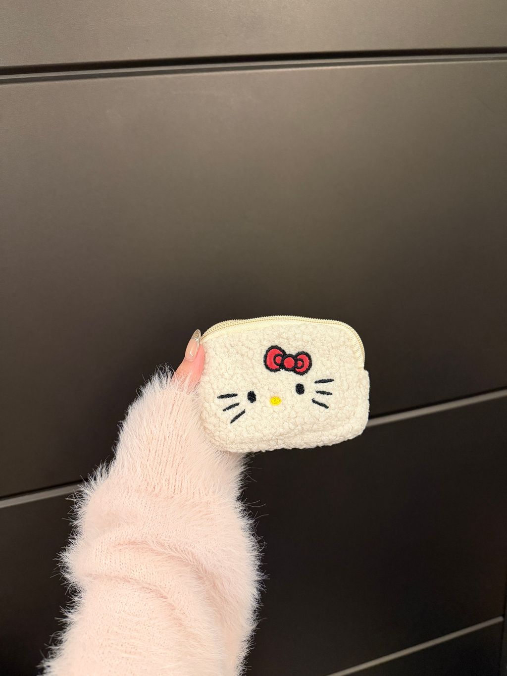 image_0B65B9B5-435B-4AA2-B753-9C6854F46EC1_1766158239