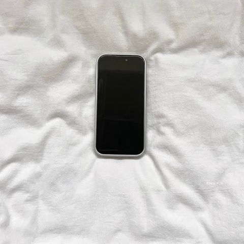 image_3344DF0D-F04E-41B7-A124-0DFA470A7638_1766476174