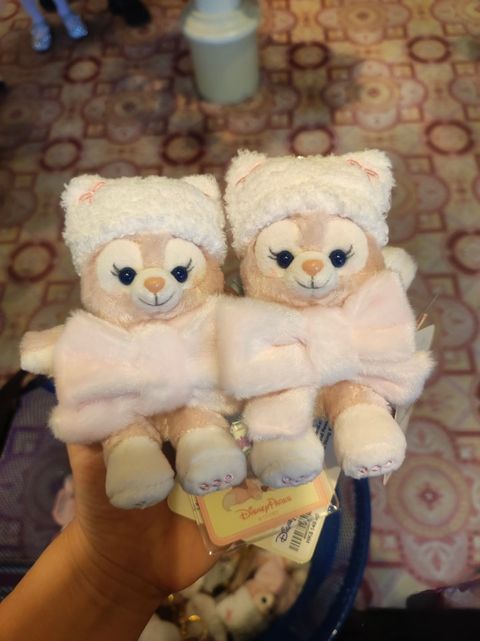 image_3E074617-F344-48E4-8A44-45352D4CA57C_1766980245