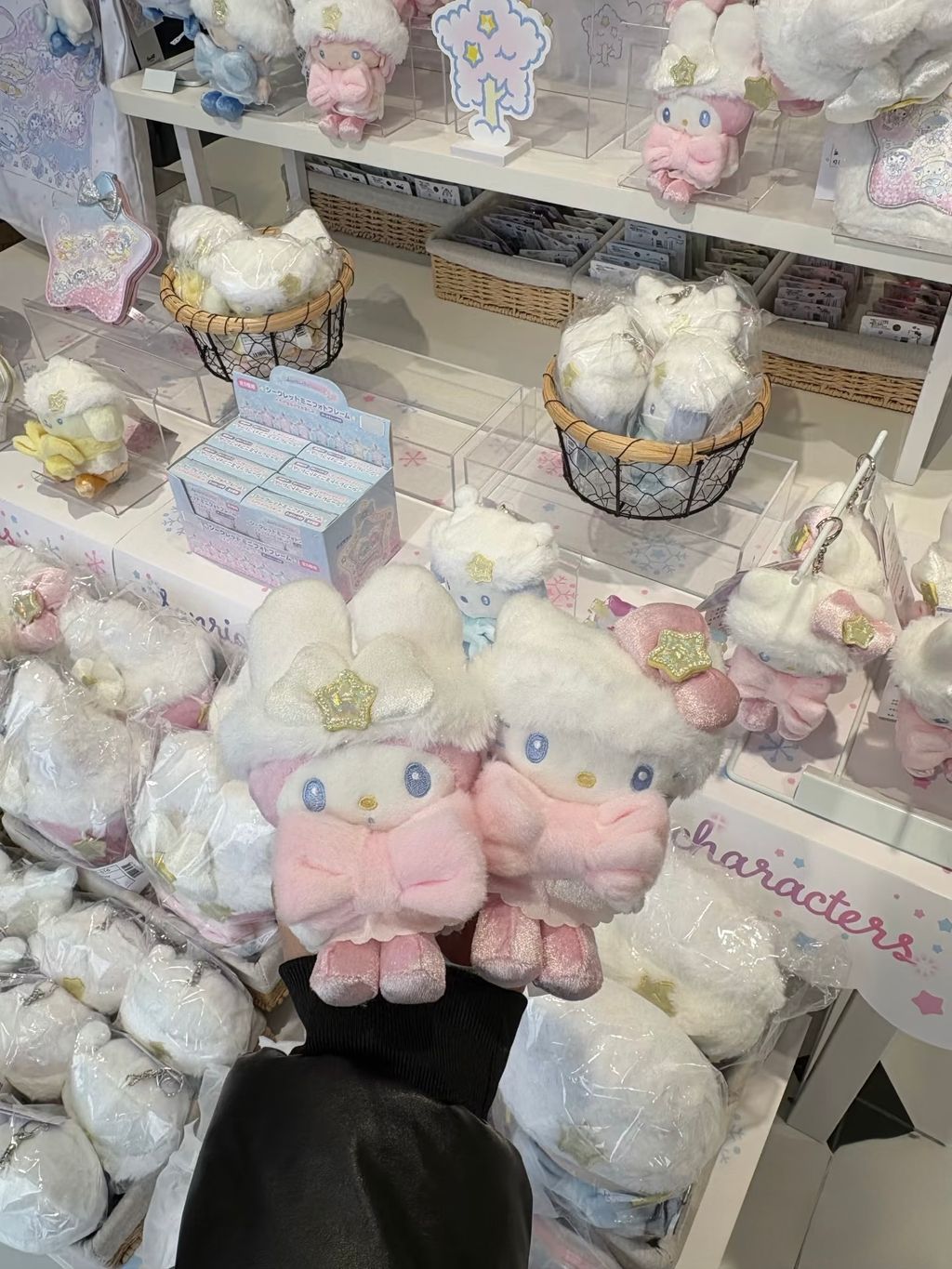 image_CD5194A2-BAFF-406E-AEE9-059664981906_1766980401