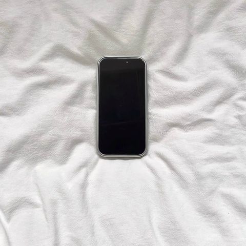 image_CE23DD0D-0A01-4BBE-8AB6-E717031D9919_1767065104