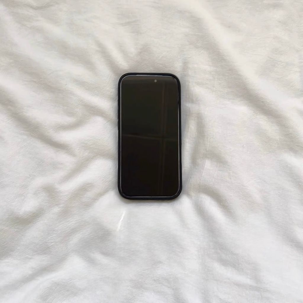 image_FCCD1497-606E-4BCC-804A-27B4213ADD57_1767066604