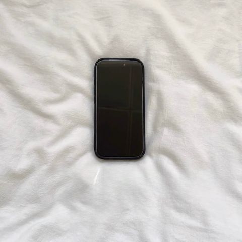 image_FCCD1497-606E-4BCC-804A-27B4213ADD57_1767066604