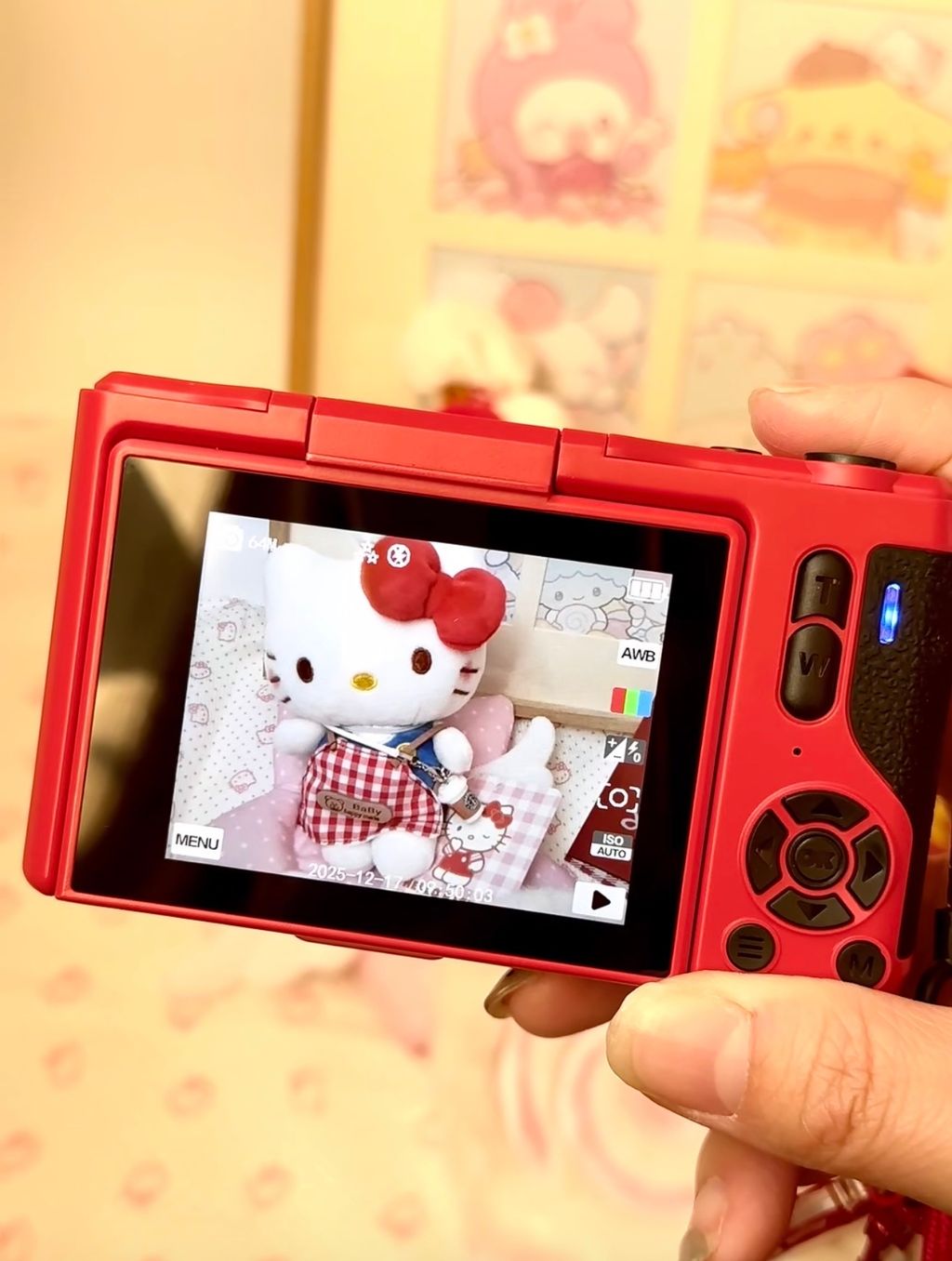 image_52CC6D13-1678-44F0-A8F2-0635ADEF2038_1767451378