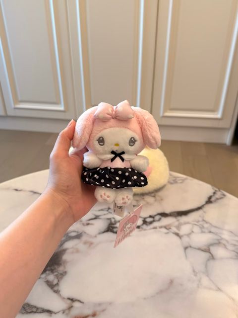 image_00D9C62C-3311-40EF-A81D-43C43ABA8ABB_1769018526