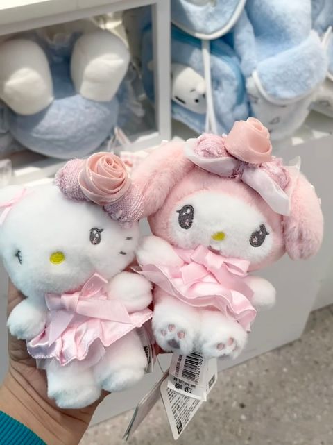 image_46946A5A-100C-4670-ACB0-C17503BBEADC_1769187004