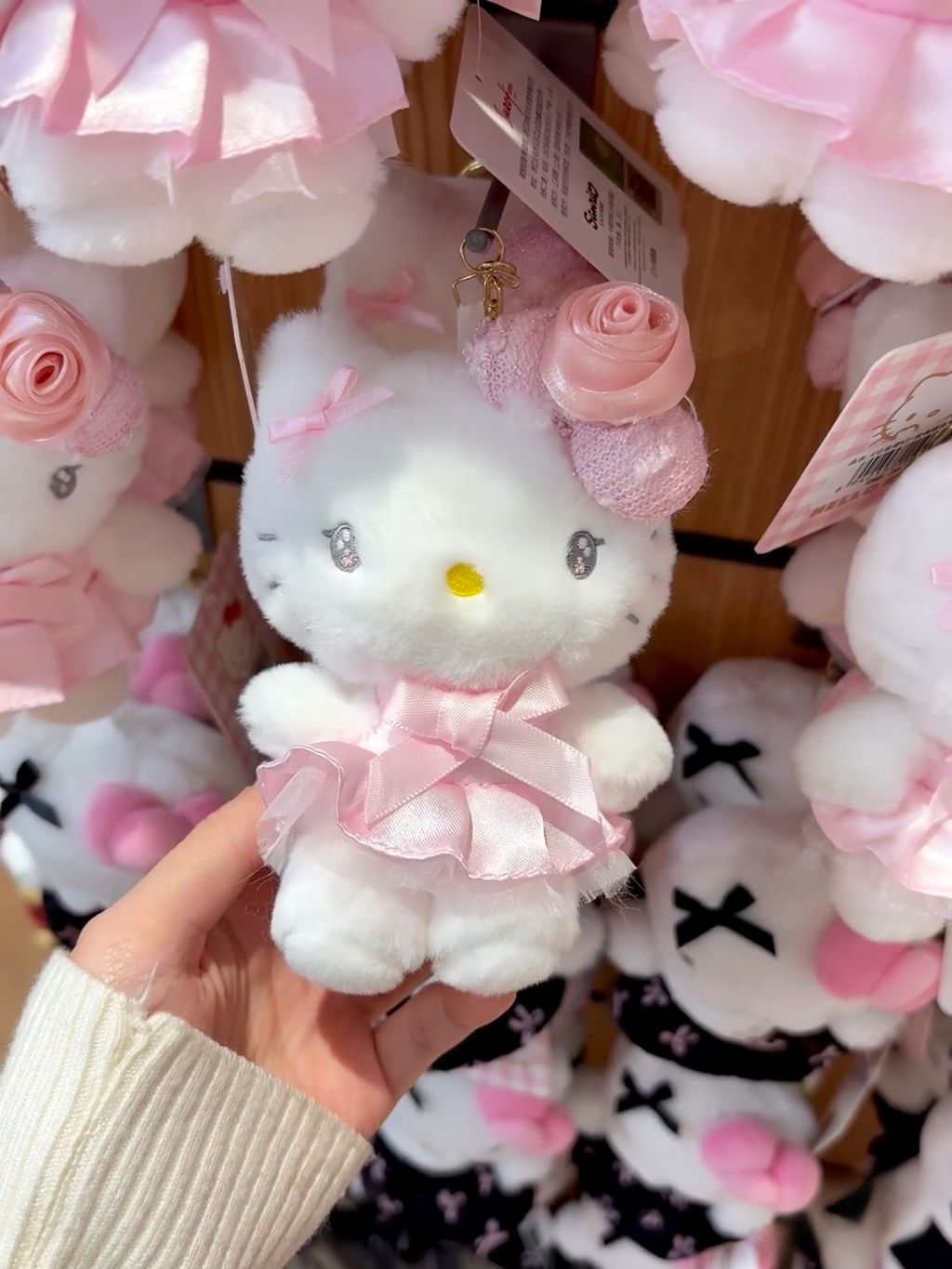 image_00CC474C-6A43-4752-9C18-B59B703E0A68_1769187172