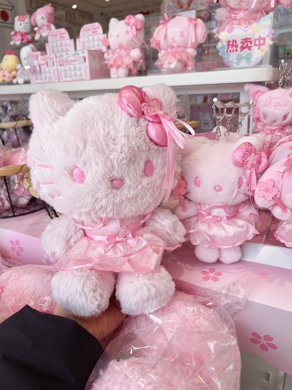 image_5B527587-D359-451A-A4EC-3E5704053448_1770879731