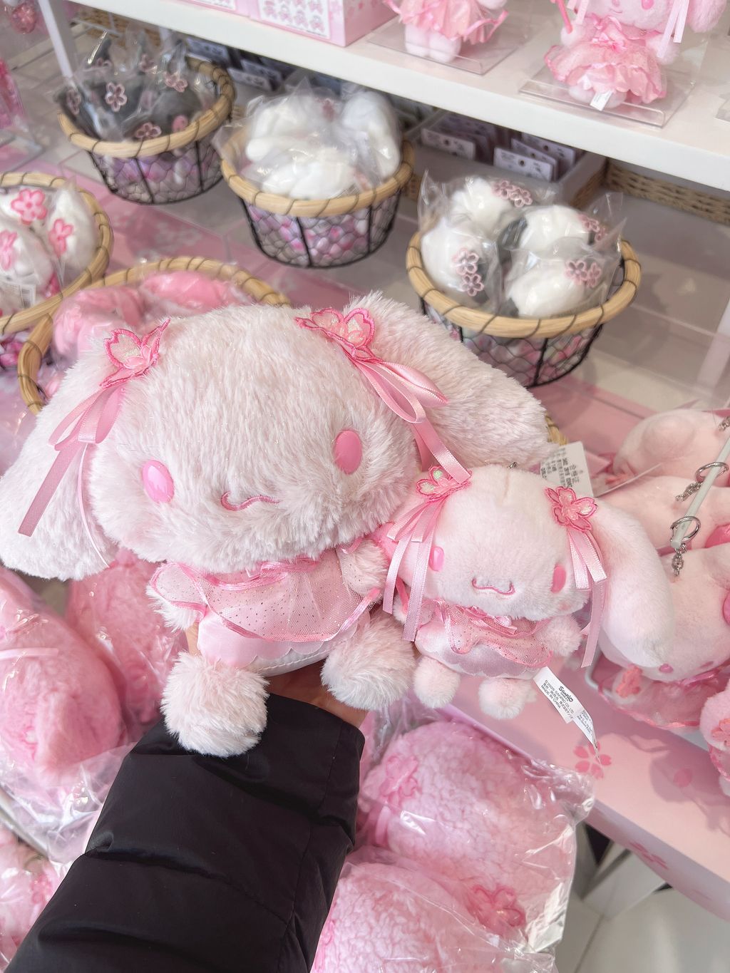 image_F736F6EE-AAE7-41A6-8F9F-3964A5AC5CAE_1770879732