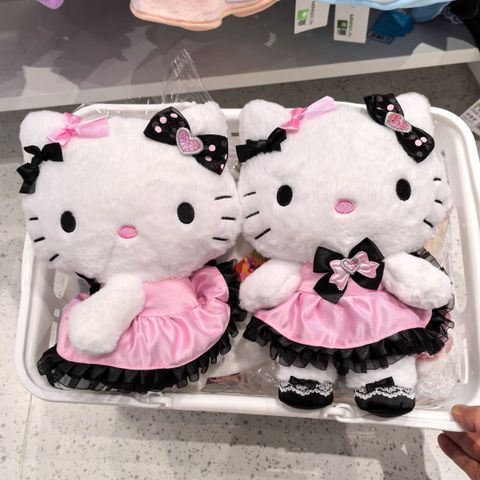 image_ED5D294D-6C2F-4ACF-8CBD-E1CB55C26802_1771840020