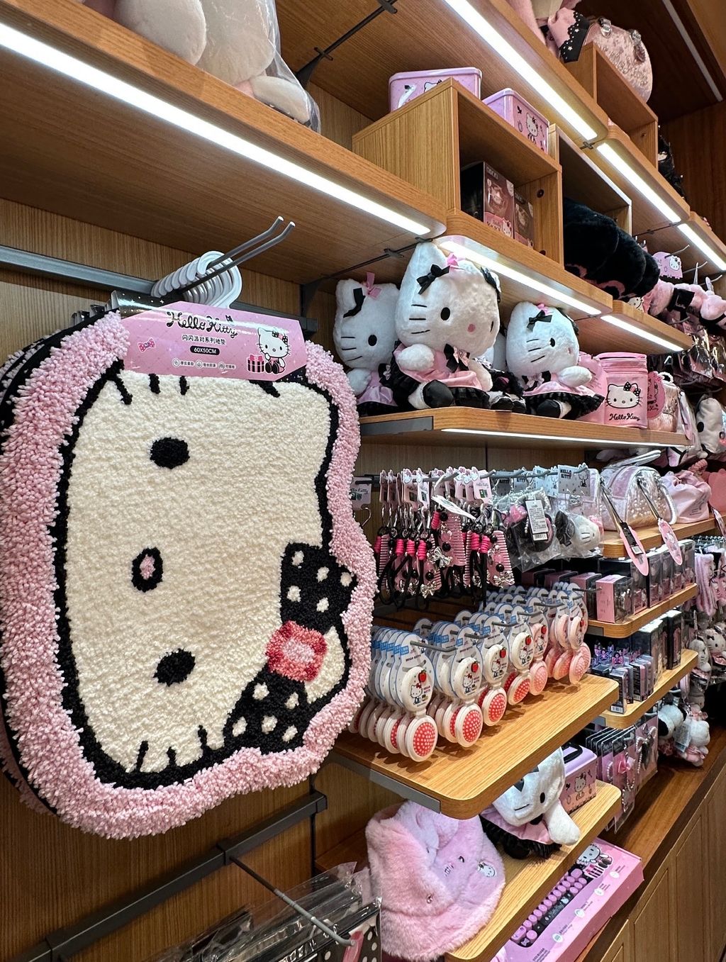 image_6AA12CF8-6993-4EF5-8A9A-DEB0446A6454_1772030838