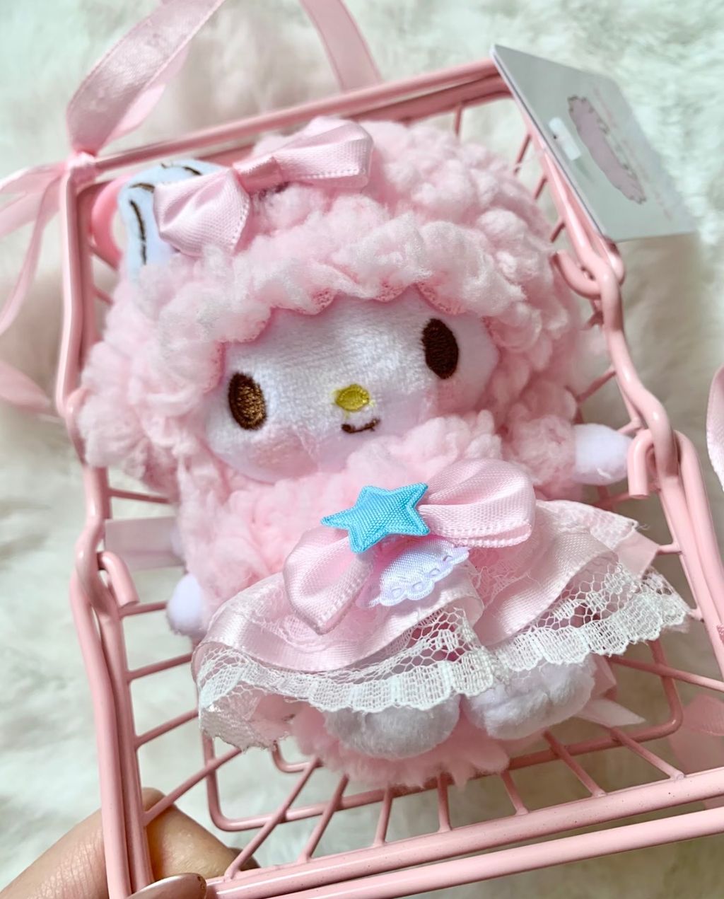 image_ED0A39F1-1A19-4A68-8F78-77FD52877C2A_1772206902